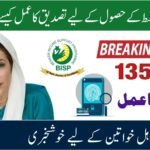PAVE Pakistan Accelerated vehicle Electrification Scheme 2025 – Complete Online Application Guide at www.pave.gov.pk