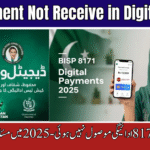 8171 Payment Not Receive in Digital Wallet